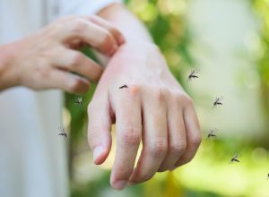 5 Ways You're Becoming a Mosquito Magnet