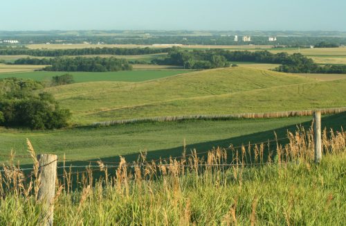 Farmland in Schuyler Nebraska