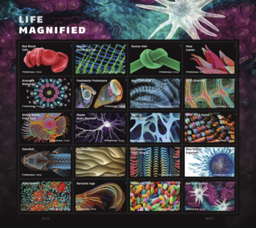 usps life magnified stamp collection