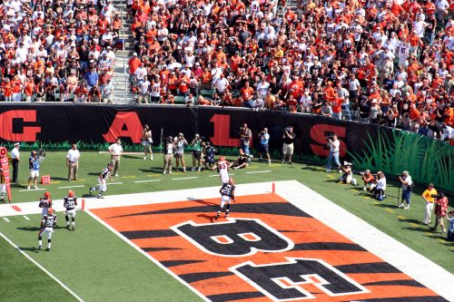 Touchdown catch to win the game for the Cincinnati Bengals