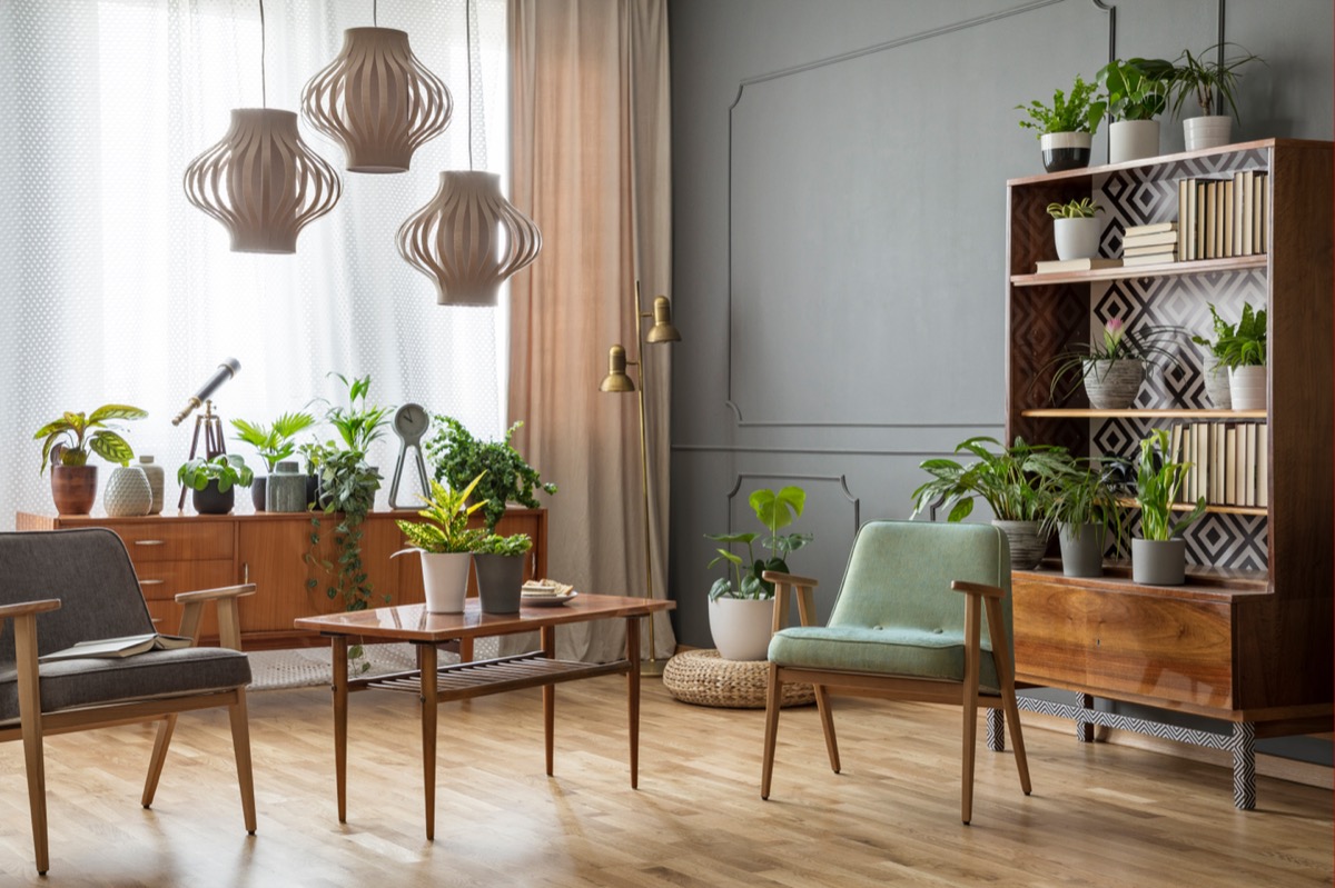 Wooden table with flowers between armchairs in grey flat interior with lamps and plants. Real photo