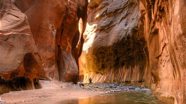 The Narrows of the Virgin River in Zion National Park, surrounded by red rocks