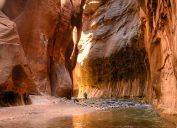 The Narrows of the Virgin River in Zion National Park, surrounded by red rocks