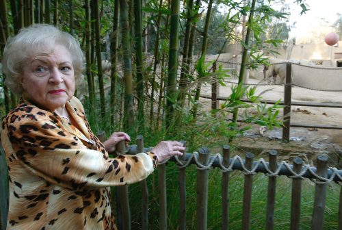Betty White visiting Billy the elephant in 2008
