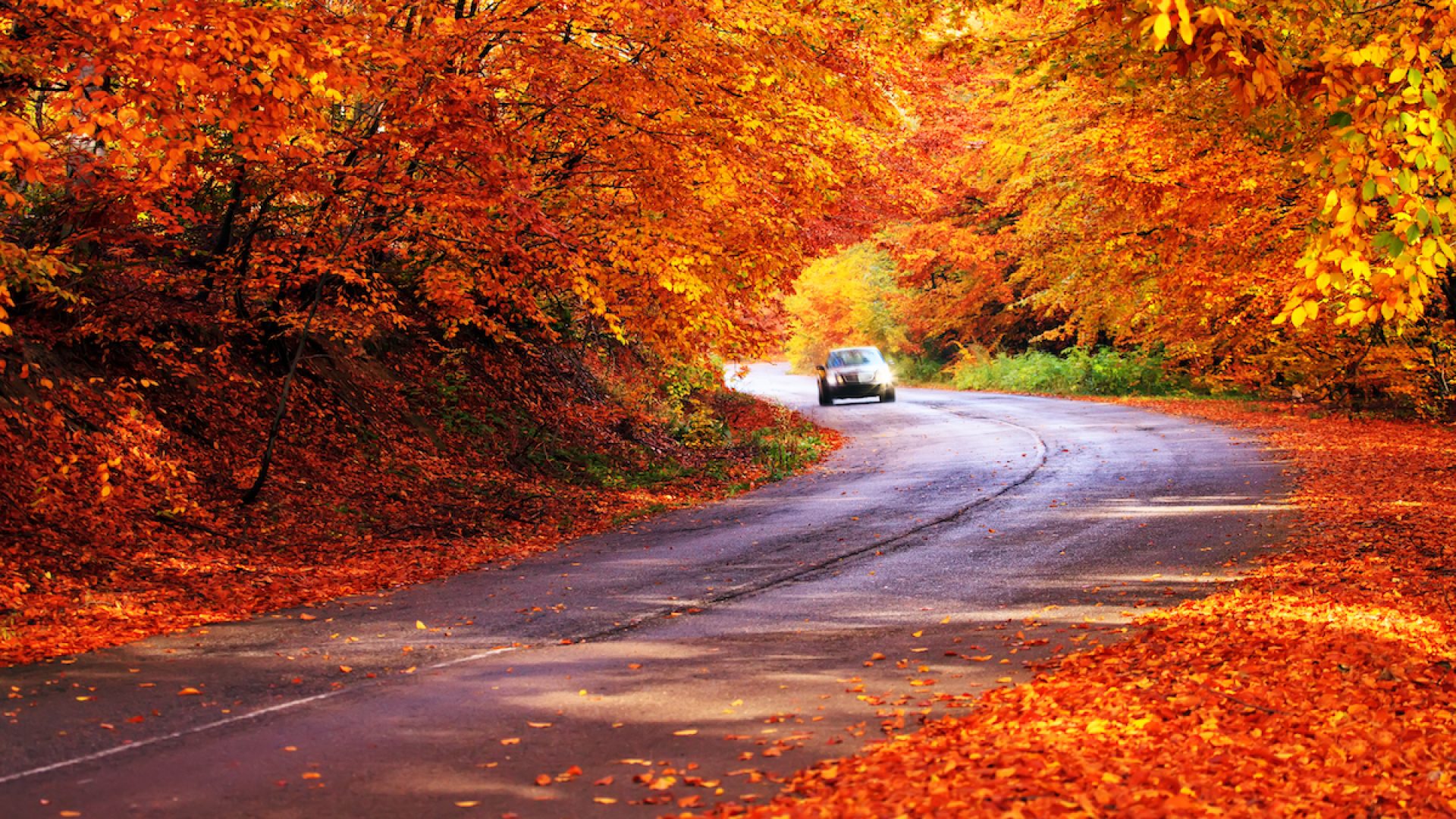 12 Best U.S. Road Trips to See Fall Foliage — Best Life