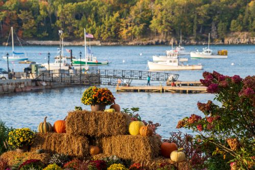 Bar Harbor, Maine's Frenchman Bay decorated for fall with sailboats in the background