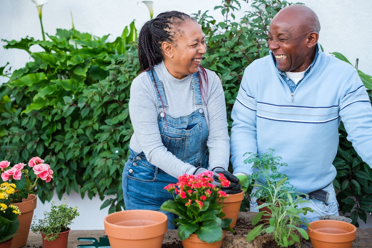 A mature man and woman outside gardening and laughing.