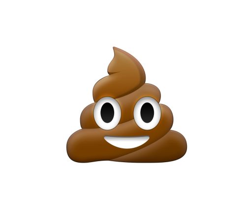 Brown dung with eye and mouth icon
