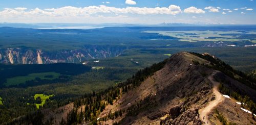 view from mount washburn at yellowstone national park