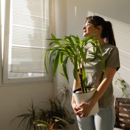Front view of a woman holding a plant and looking through the window enjoying sunny day in her apartment