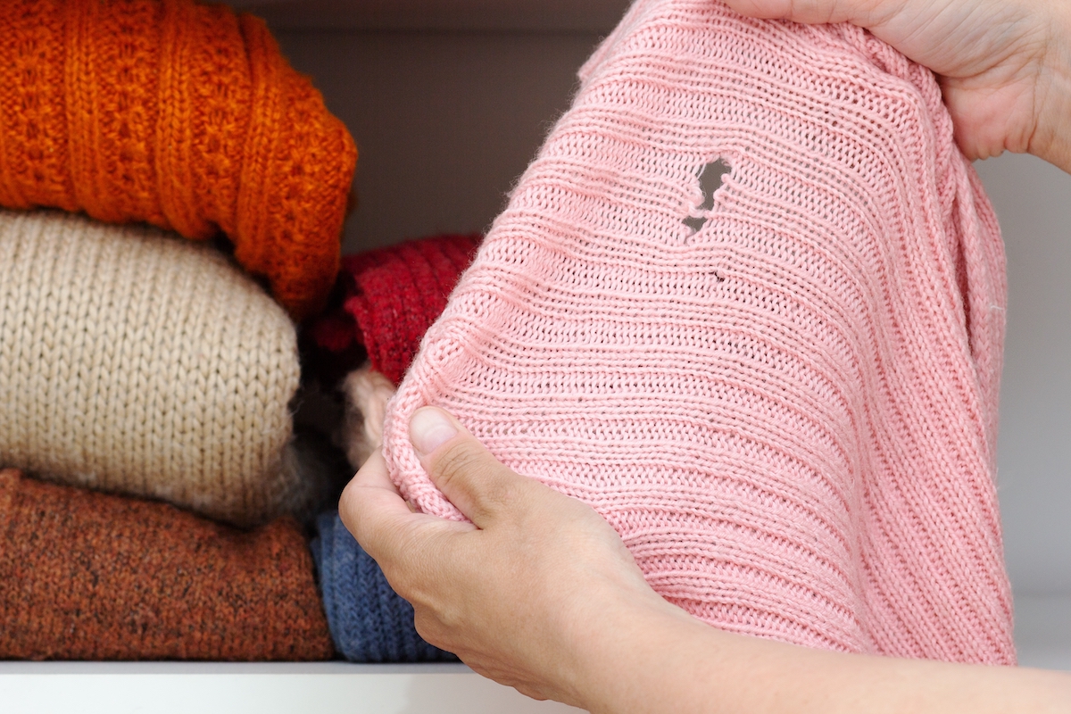 Cropped woman hands holding pink sweater with hole made by moth