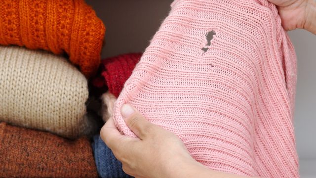 Cropped woman hands holding pink sweater with hole made by moth