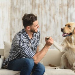 Man and Dog High Fiving On Couch