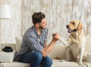 Man and Dog High Fiving On Couch