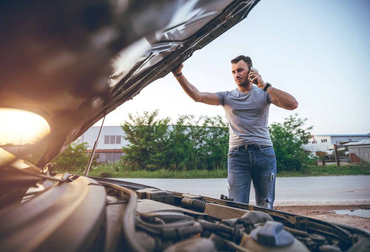 Giant Python Snakes Are Being Found in People’s Car Engines — Best Life