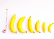 different size and shapes of bananas to represent penis size