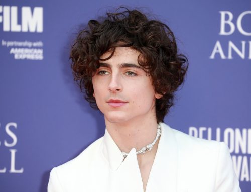 Timothée Chalamet at the London premiere of "Bones and All" in 2022