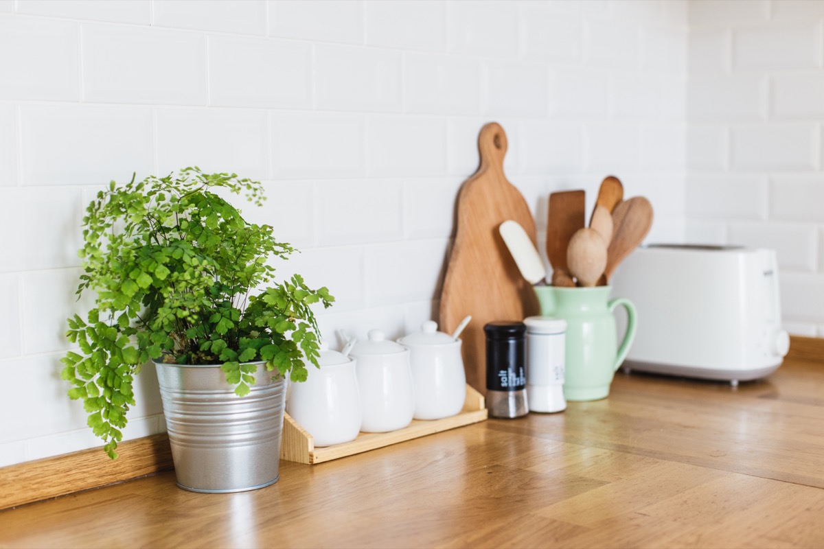 Kitchen accessories, flowerpot on wooden table in the kitchen.White ceramic brick tile wall background