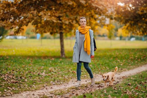 Woman Wearing Long Yellow Scarf While Walking Her Dog