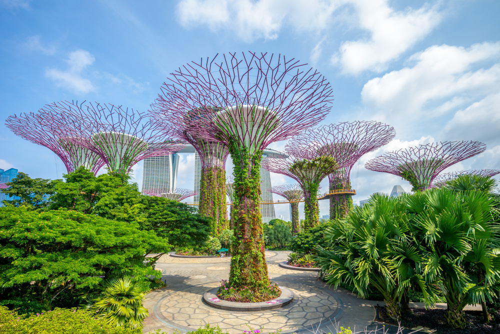 A view of the Gardens by the Bay in Singapore