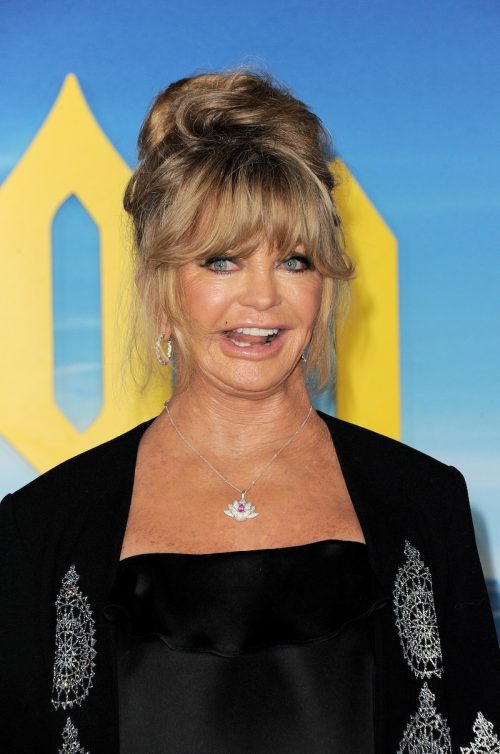 Goldie Hawn at the premiere of "Glass Onion: A Knives Out Mystery" in 2022