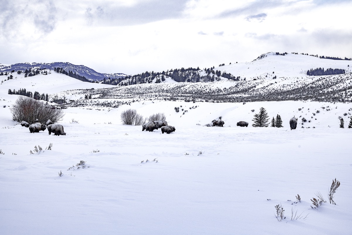 Farmer's Almanac Predicts Extra Snowy Winter — Best Life