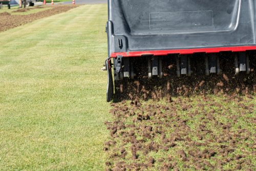 Close up of a pile of soil plugs on a lawn with a core aeration machine