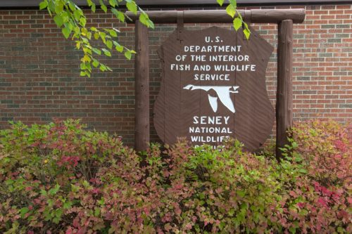 sign for u.s. fish and wildlife service