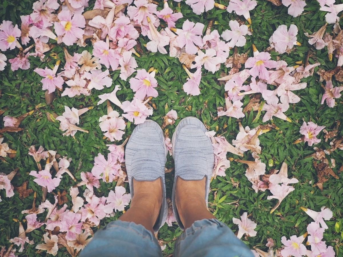 Selfie woman feet on pink trumpet flowers dropped over green grass, vintage filter effect. Springtime, summer or autumn floral background.