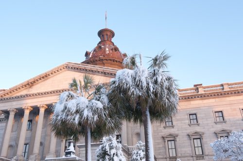Snow Covered Palmetto Palm Trees In Front of the South Carolina State House.See more South Carolina State House images...