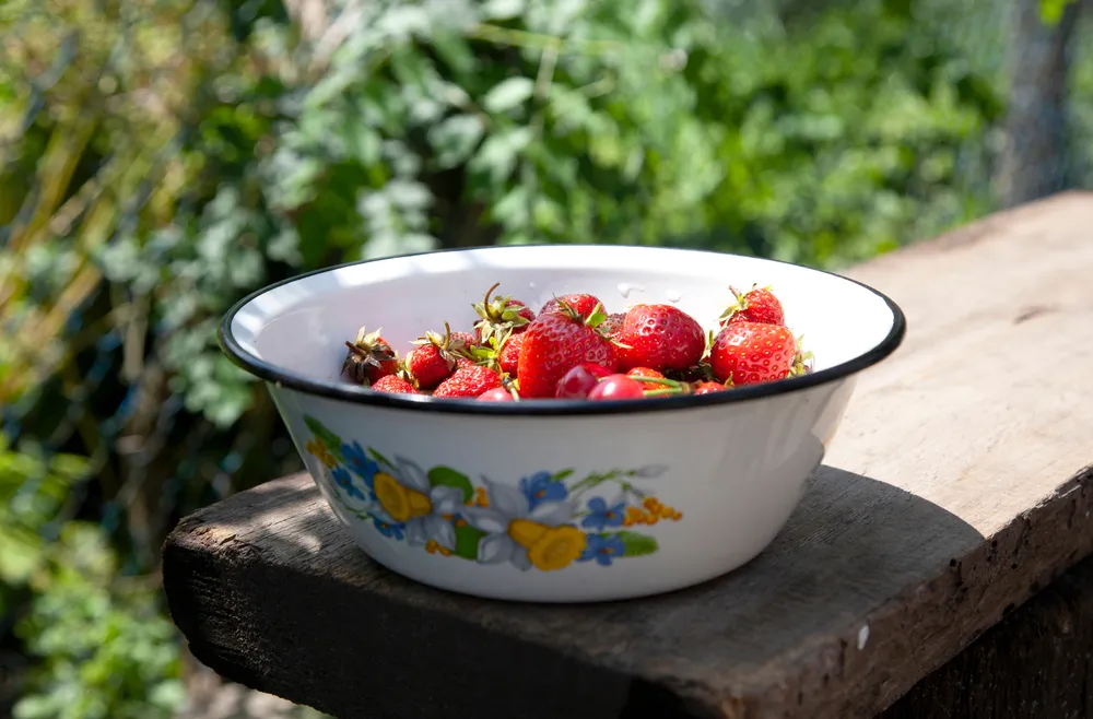 A close up of strawberries in a vintage enamel bowl