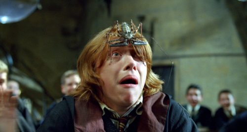 Ron Weasley looking frightened in The Goblet of Fire
