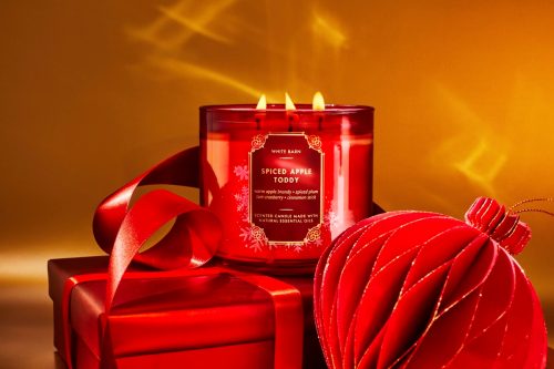 bath and body works spiced apple toddy candle