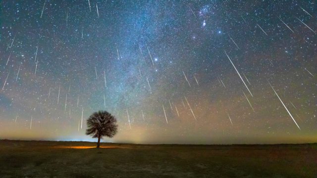 A wide shot of the night sky with dozens of meteors streaking