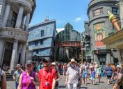 People exploring Disney World in Orlando Florida