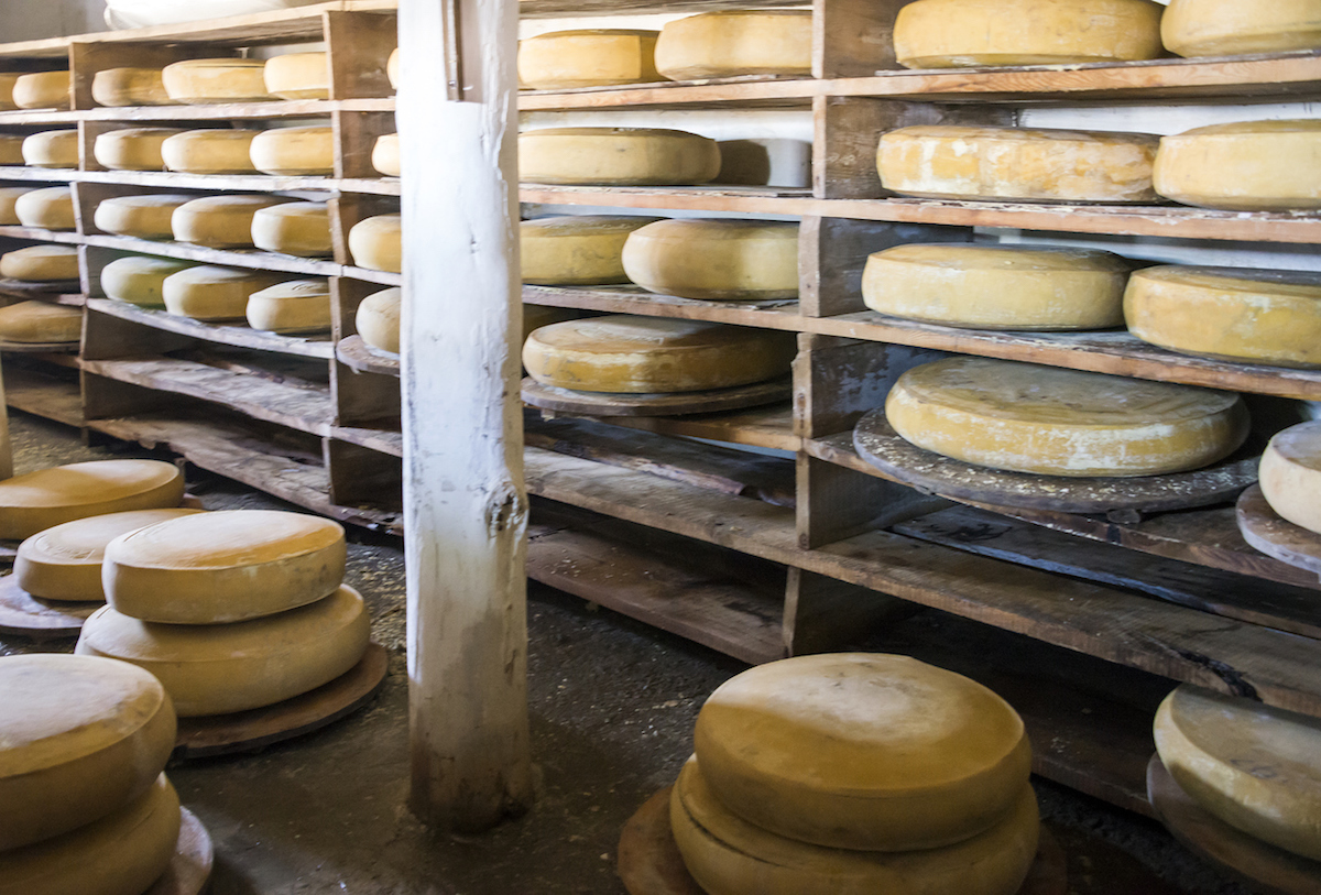 Gruyere cheese stored in racks for refining at the traditional cheese factory