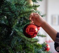 close-up of someone hanging an ornament on a christmas tree