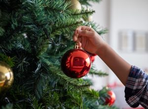 close-up of someone hanging an ornament on a christmas tree