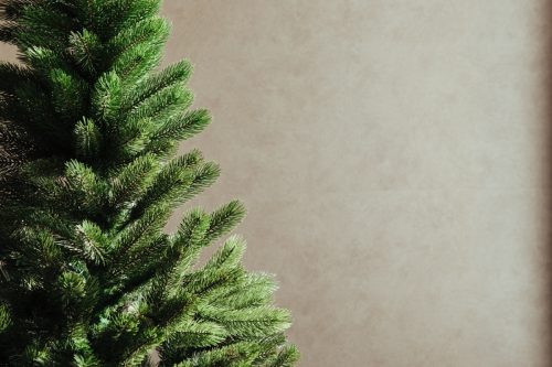Christmas tree without decorations on a solid background