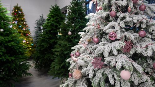 Selection of artificial Christmas trees in the store