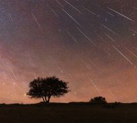 A series of shooting stars in the sky over a field with a tree at night