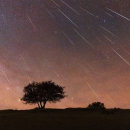 A series of shooting stars in the sky over a field with a tree at night