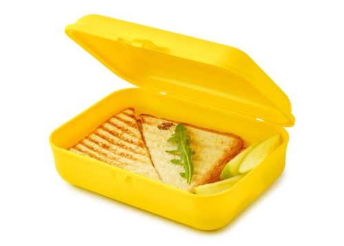 Grilled sandwich in yellow plastic lunchbox isolated on white
