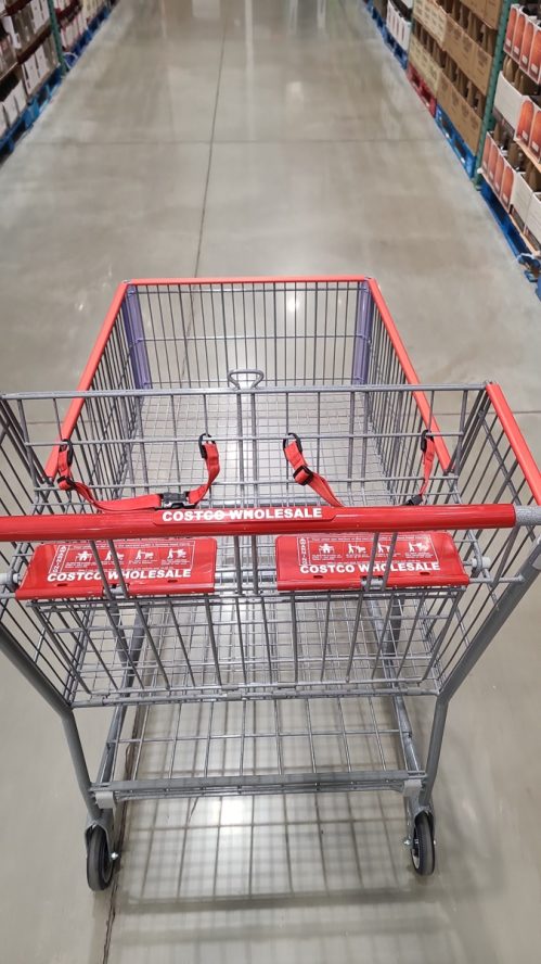 New shopping carts from Costco