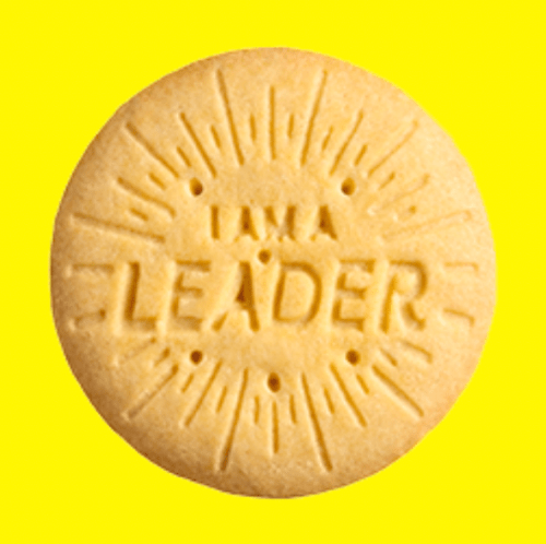 A Girl Scout Lemon Up cookie against a yellow background