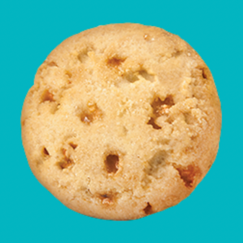A Girl Scout Toffee-Tastic cookie against a teal background