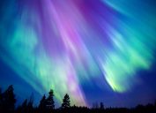 The Northern Lights in the sky with shades of green and purple