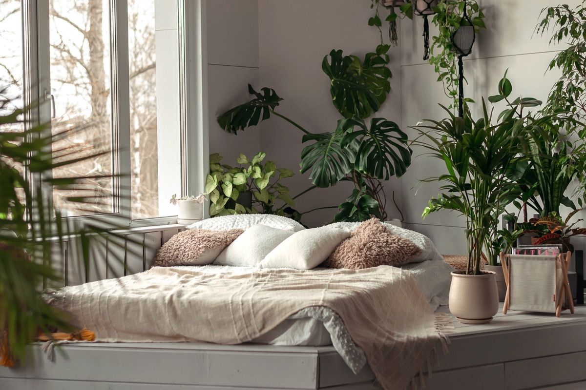 Feng Shui Bedroom Tips for Better Sleep — Best Life