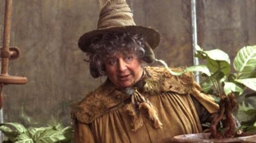 Miriam Margolyes in Harry Potter