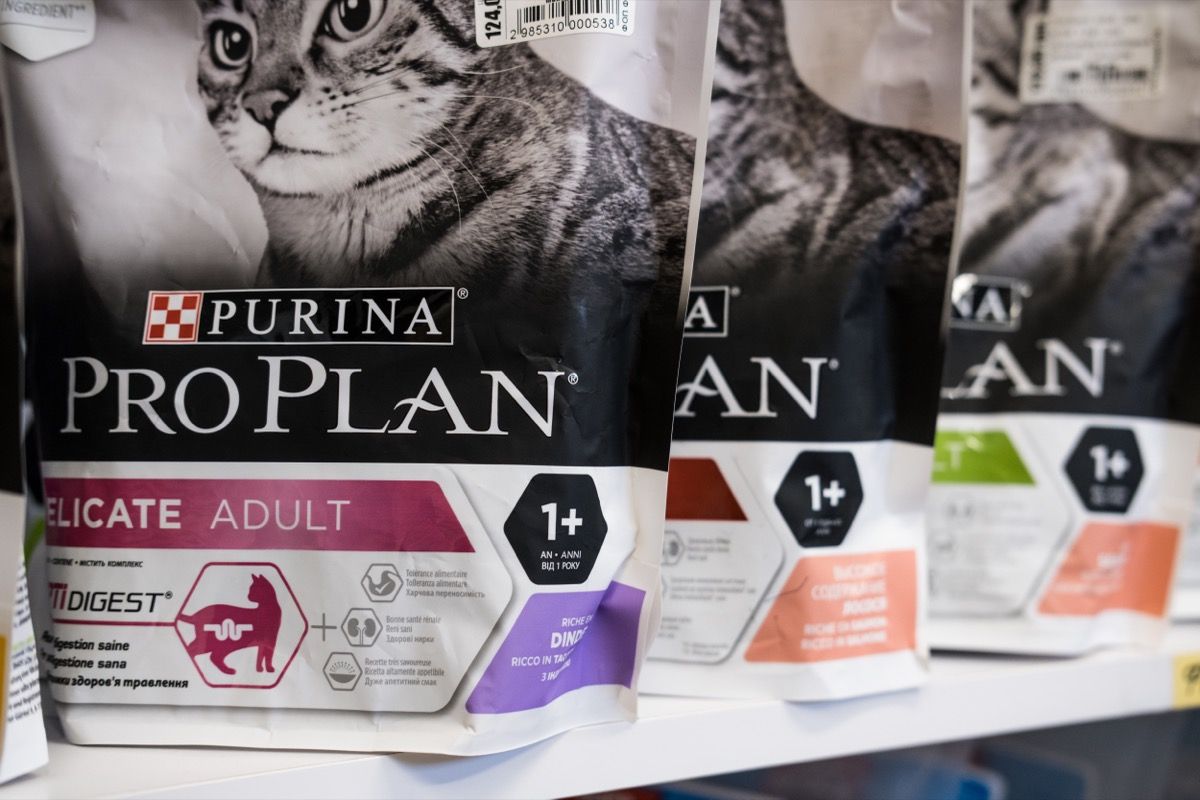 Fact Check Is Purina Making Dogs and Cats Sick Best Life